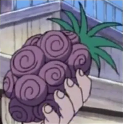 Un peu plus difficile pour les non connaisseurs, indice : Orange Town . A qui appartient ce fruit du démon ?