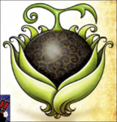 A qui appartient ce fruit ?