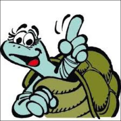 Au fait, comment s'appelle notre amie la tortue ?