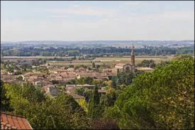Ville occitane, dans l'arrondissement de Montauban , Grisolles se situe dans le département ...