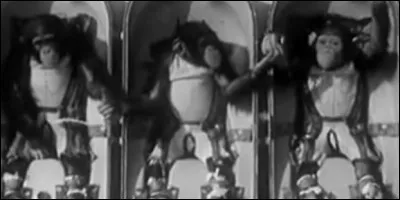 Quel était le nom des 5 singes envoyés par les États-Unis ?