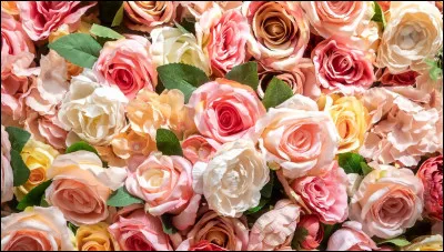 Aimes-tu les fleurs ?