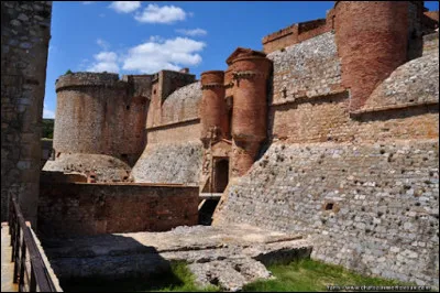 Où irez-vous pour voir le château de Salses ?