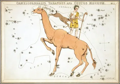Il existe même des constellations... disparues ! Ben oui, c'est comme ça : on brille, on brille et puis un jour, hop ! on s'éteint... Comment s'appelait celle-ci ?