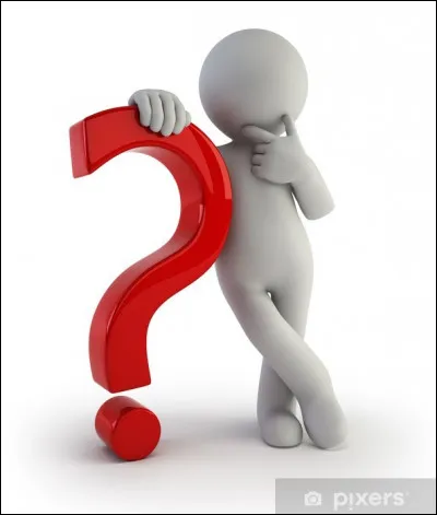 Comment qualifie-t-on généralement un saule ?