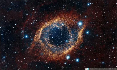 Quel est le premier être vivant à avoir fait une petite visite dans l'espace ?