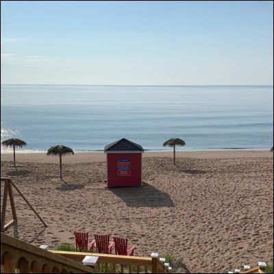 Travailles-tu en vacances ?