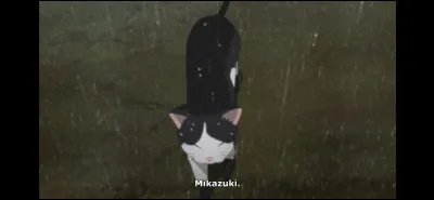 Ton animal préféré est :