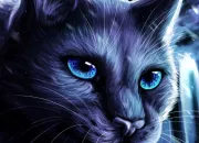 Quiz Qui est-ce ? (Guerre des clans)