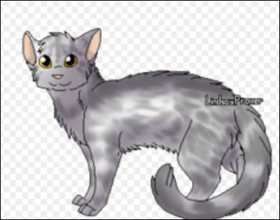 Woohoo ! À qui est ce beau pelage dargent ?