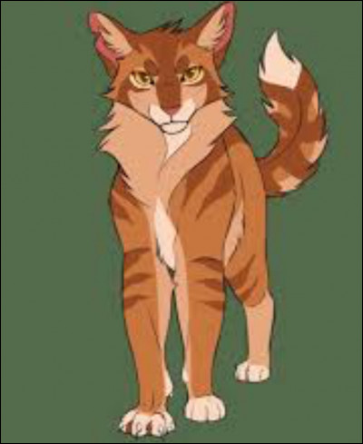 Il te fixe... Mais dailleurs, qui est-ce ?