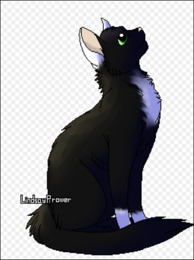 Le regard rêveur, mais le caractère bien à lui, qui est-il ?