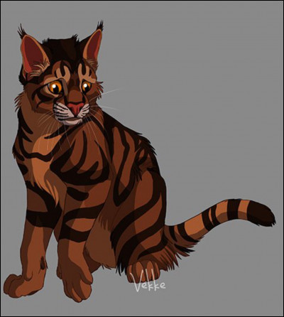 Le regard un peu triste, mais cest un excellent guerrier, daprès toi, qui est ce chat ?