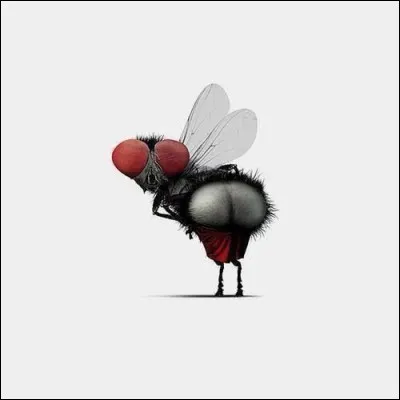 Première épouse de Zeus, alors enceinte d'Athéna il la poussa à se transformer en mouche puis la goba. Qui est-elle ?