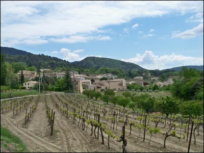 Ce village du Vaucluse, situé entre Carpentras et Vaison-la-Romaine, c'est ...