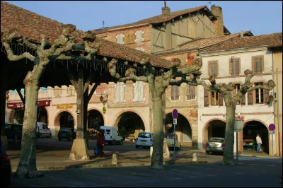Cette petite ville du Tarn-et-Garonne, traversée par la Gimone, ancienne bastide fondée au XIIIe siècle, connue pour ses grandes foires agricoles et la culture de l'ail blanc, c'est ...