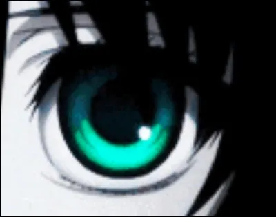 A qui appartient cet œil ?