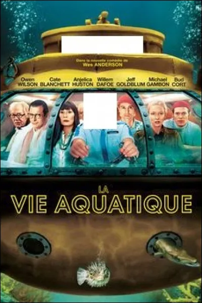 Quel acteur a le rôle principal dans ce film ?