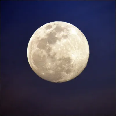 Qui chante ces paroles : "J’irai, c’est sûr, un jour là-haut / J’ai déjà prévu l’escalier / Avec des ailes pour mieux grimper / Au milieu de la voie lactée" ?