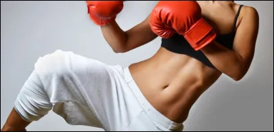 Aimes-tu les sports de combat ?