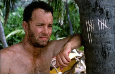 De quel film de Robert Zemeckis, mettant en scène Tom Hanks, est issue cette image ?