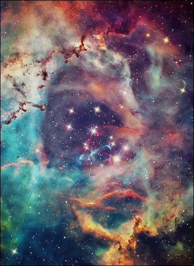 Le Capricorne n'est autre qu'une constellation du ...