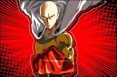 Quel est le nom de cet animé ?