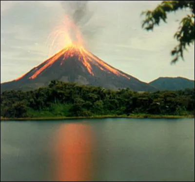 Ton environnement primitif est :