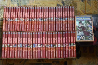 Choisis un manga que tu aimes.