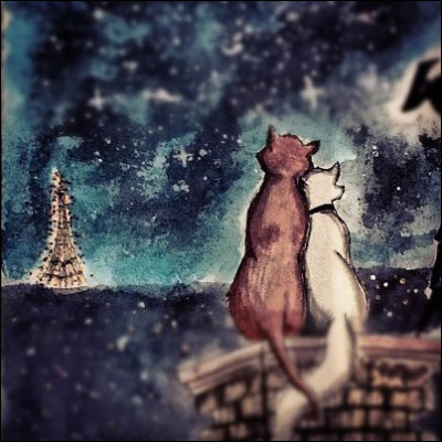 Comment est la robe d'un chat de race bombay ?