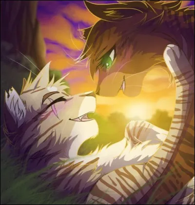 Qui es ton compagnon ou ta compagne ?