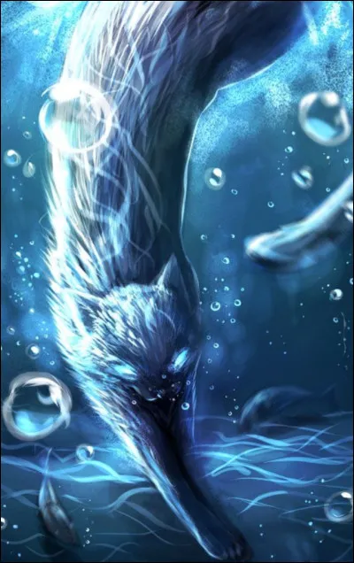 Quel grade aimerais-tu ?