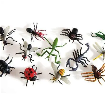 Quel insecte proche du cousin est appel&eacute; maringouin dans certains territoires francophones d�Am&eacute;rique ?