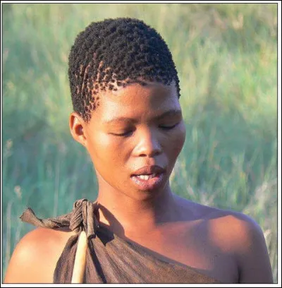 Cosmogonie (4) > Dans les années 2000, des généticiens occidentaux tous excités, expliquent aux Sans du Kalahari qu'ils sont le plus vieux peuple connu sur Terre. Qu'ont-ils répondu ?