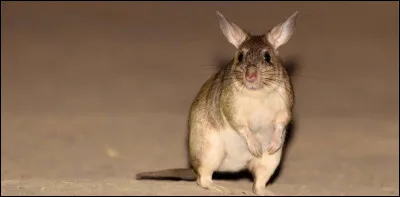 Quelque chose te dérange.