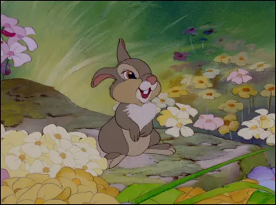 Pan-Pan : dans quel film Disney apparaît-il ?