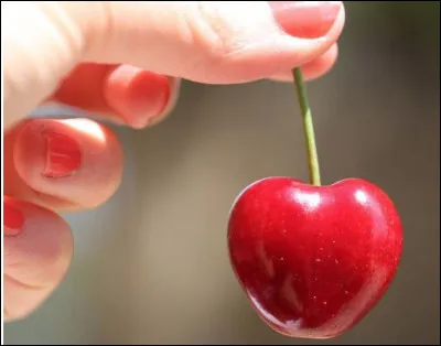 Quel est le nom de cette grosse cerise charnue en forme de coeur ?