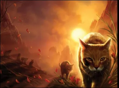 Tu tappelles Petite Griffe, tu es un mâle ou une femelle. Tu as une sur : Petit Palmier. 
Ta sur veut aller jouer mais toi tu es trop fatigué car la veille vous avez joué à Chat ! Mais elle te supplie !