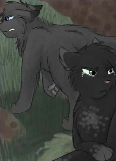 Après avoir joué avec elle, ta mère, Feuille de Pollen, te prend par la peau du cou, te jette aux ronces et te gronde : 
- Je tai déjà dit de ne pas menacer ta sur ! Elle est encore petite !
Mais tu protestes : 
- Je nai rien fait !
Ta mère te regarde et déclare qu'elle te punit de nourriture pour le soir.