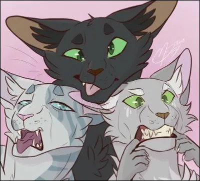 Le lendemain ton chef, Étoile de Givre, va te nommer apprenti seulement il ne te nomme pas Nuage de Griffe mais Nuage Honteux.
Ta sur rigole et elle tappelle maintenant : Nuage de Palmier. 
Tu...