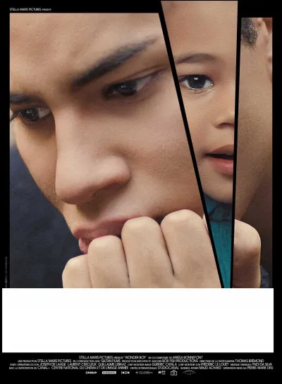 À quel film appartient cette affiche ?