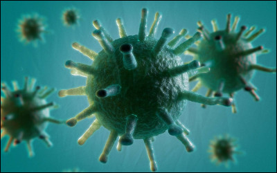 (Facile) Les médecins vétérinaires veillent à la santé et au bien-être de toutes les espèces animales