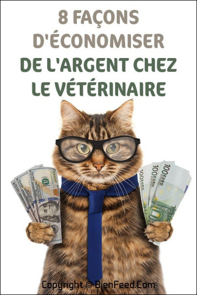 Les vétérinaires démarrent aux alentours de 2.000 euros brut mensuel dans n'importe quel pays.