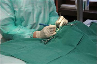 Quel BTS est obligatoire pour devenir vétérinaire ?