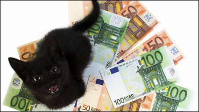 En France, un vétérinaire gagne entre 1 500 et 5 800  net par mois, selon son expérience, sa renommée et son lieu d'exercice.