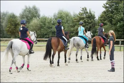 Quelle distance doit-il y avoir entre deux chevaux ?