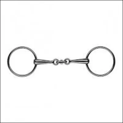 Comment s'appelle le truc que l'on met dans la bouche des chevaux ?