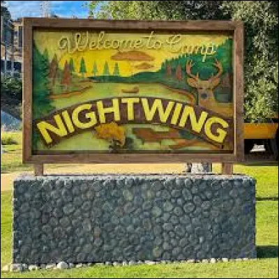 Pourquoi es-tu au camp ?