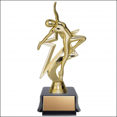 Aimes-tu les compétitions, supporterais-tu dêtre tout le temps dans la rivalité avec les autres danseurs ?