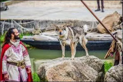 Combien y a-t-il d'animaux au Puy du Fou ?
